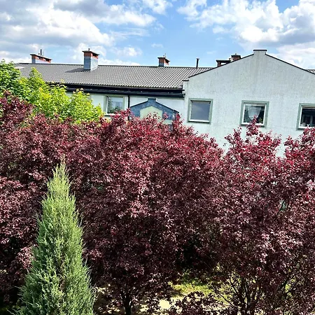 Apartament Kozia *