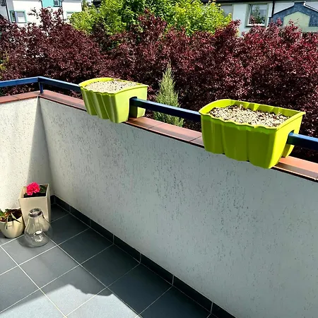 Kozia Apartament *